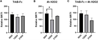 Inhibiting BDNF Signaling Upregulates Hippocampal H3K9me3 in a Manner Dependent On In Vitro Aging and Oxidative Stress